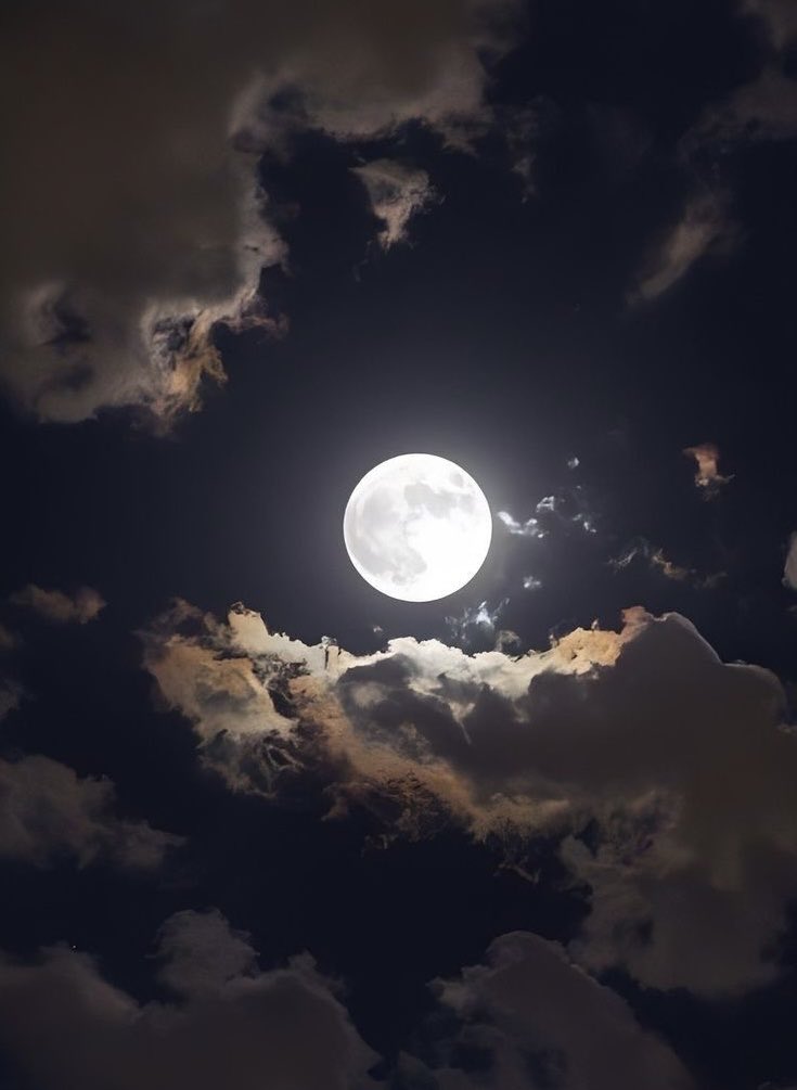 Goodnight dear friends ! #photos #night #moonlight