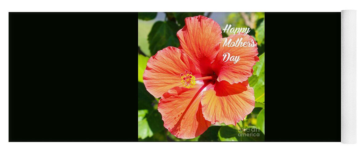 #Hibiscus #Flower #Yoga #Mat 3-joanne-carey.pixels.com/featured/a-hib… #cctag @JoanneCarey64