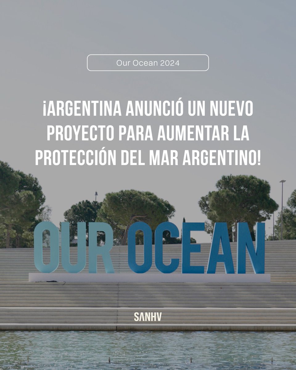 Sin Azul No Hay Verde tweet media