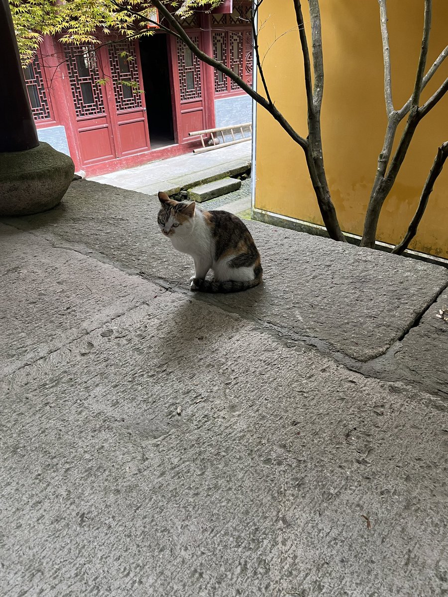 ronaldsun2019's tweet photo. nothing is permanent but nibanna https://t.co/tHyUjjIYrN