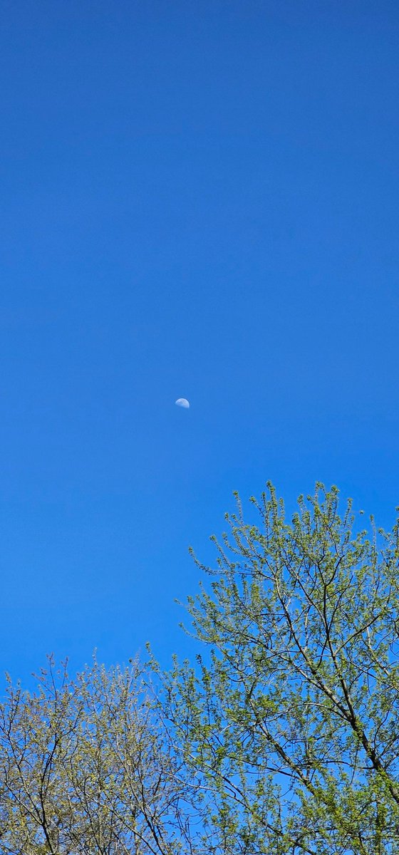 TOOTHLIZABETH MEGAROVANA FIRE MOMMY THE THIRD tweet media