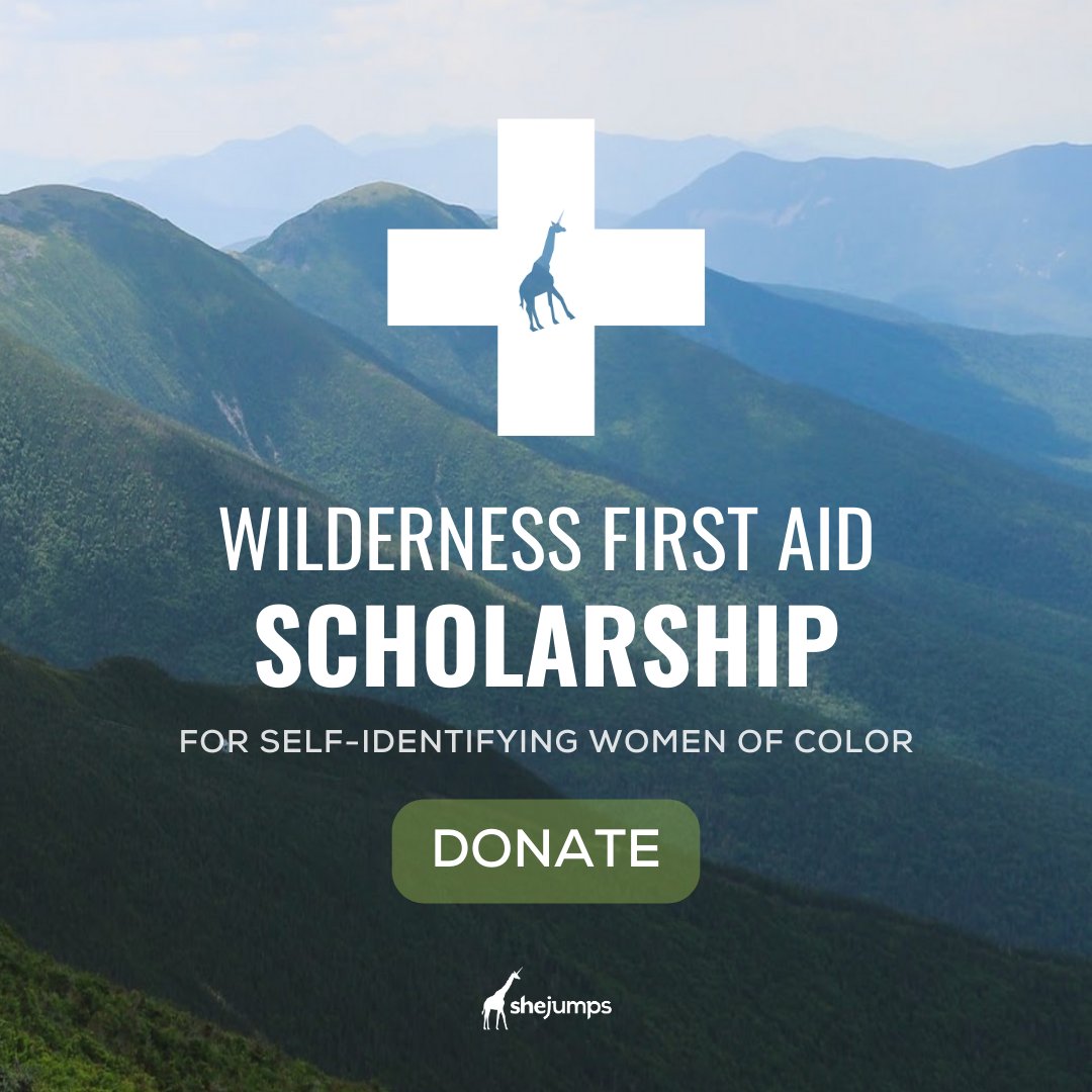 SheJumps tweet media