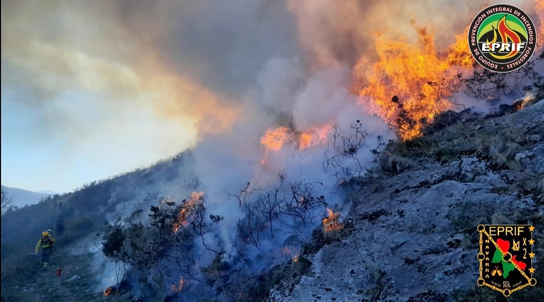 AT_Brif's tweet photo. 12/04 #EPRIF Baztán+EPRIF Burguete+Técnico Dpto+@Guardas_na+@bomberos_na ejecutaron quema prescrita 14'5 ha en la muga entre Navarra y Guipuzcoa (T.M. Lesaka) junto a P.N Peñas de Aia con objetivos principales de gestión de punto estratégico+#PrevenciónIIFF+regeneración de pastos https://t.co/BXDTQlqe9U