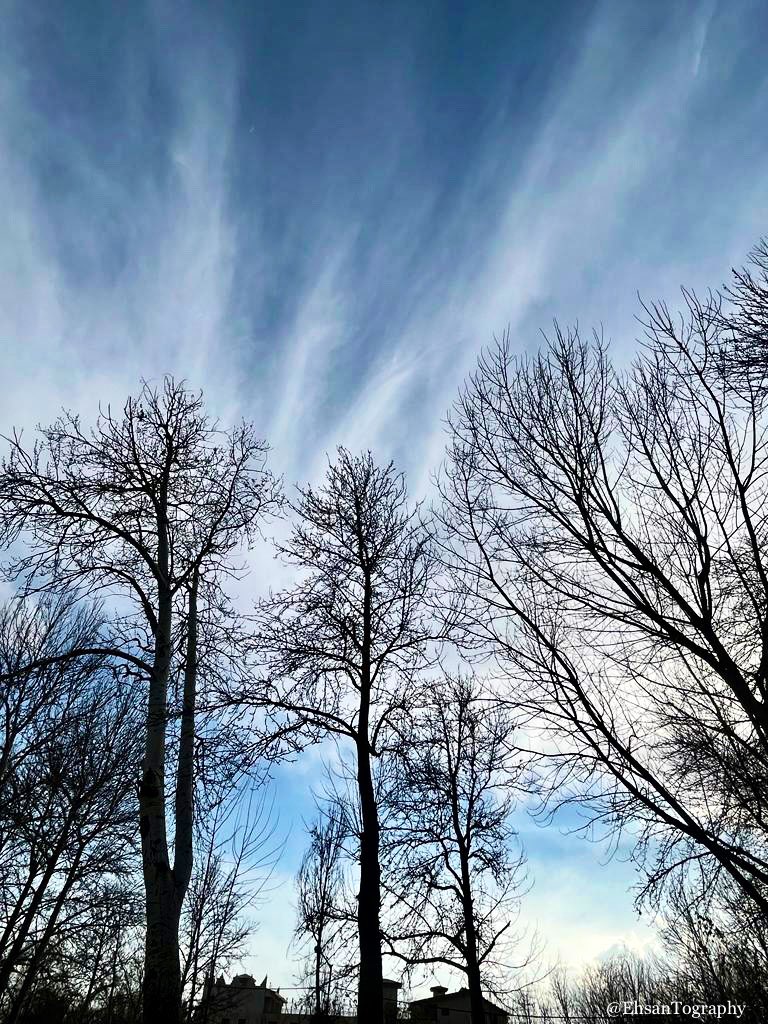 #iPhone #Photography #Spring #Nature 
#AbstractArt #SkyPaint #Trees #Clouds