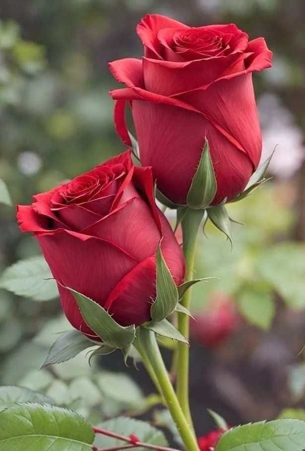 She just wants to align with Love and live from that place💗