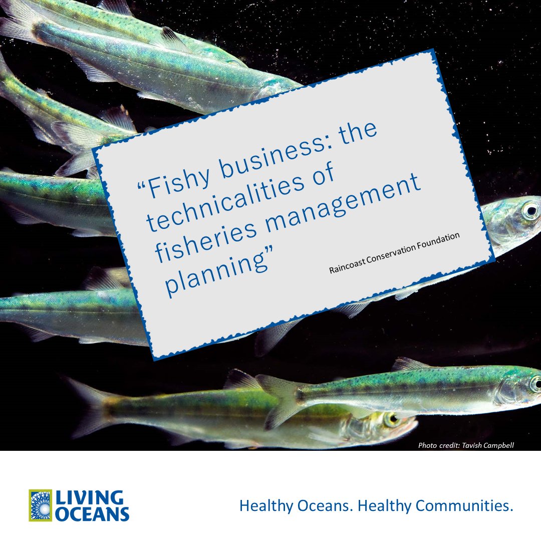 ICYMI Fishy business: the technicalities of fisheries management planning livingoceans.org/node/1311