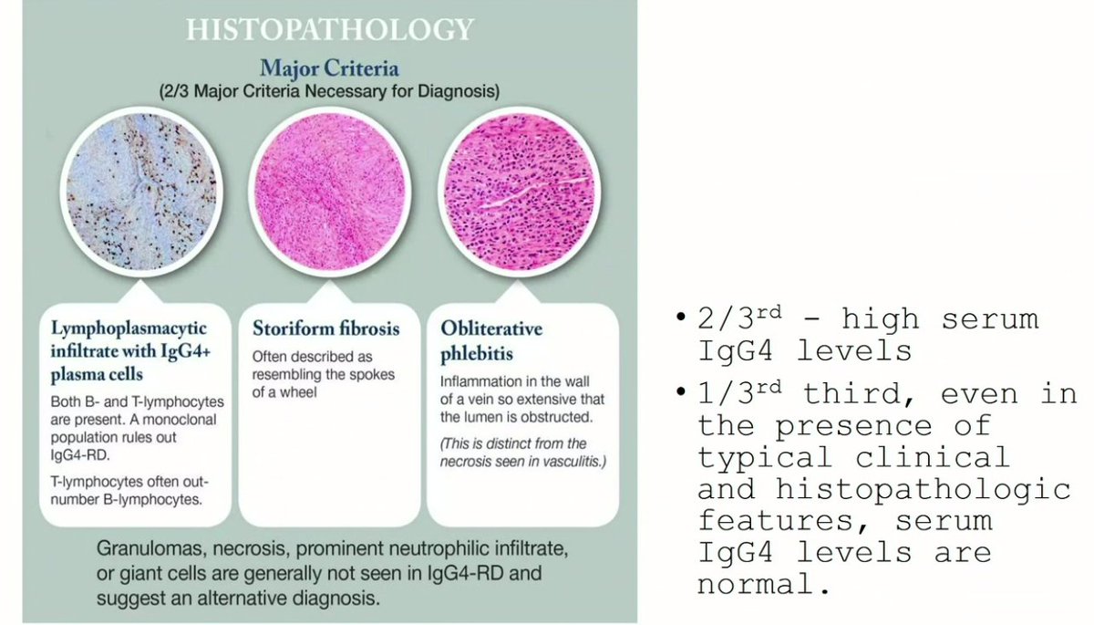 Our second-year #Nephrology fellow @dbrhdctr shares an engaging case of IgG4 disease, highlighting the diverse range of pathology our fellows encounter. #MedEd