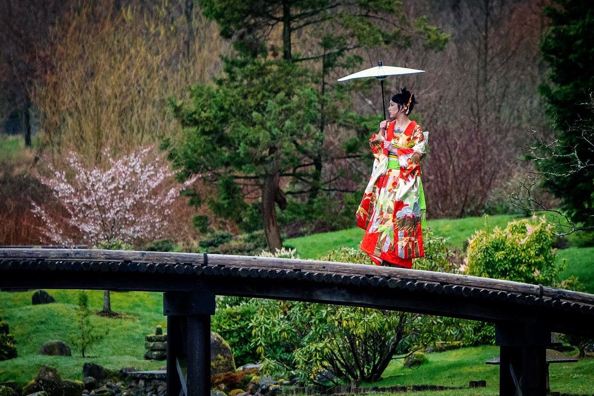 Model Sally Pritchett wears a beautiful antique kimono at The Japanese Garden in Cowden ahead of the opening of the exhibition ‘Kimono: Kyoto to Catwalk’ at V&A Dundee on Saturday 4 May #vadundee #kimono #japan #japanesegarden #cowden #cherryblossom #fashion #Scotland