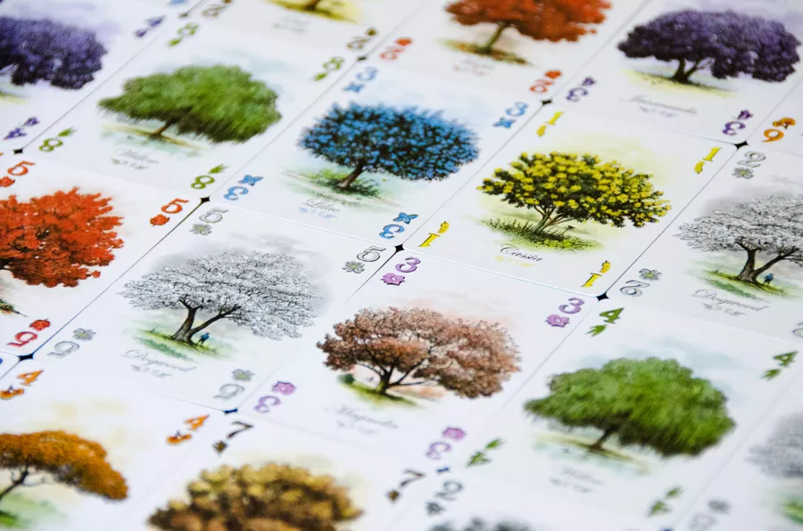 Dan Cassar tweet media