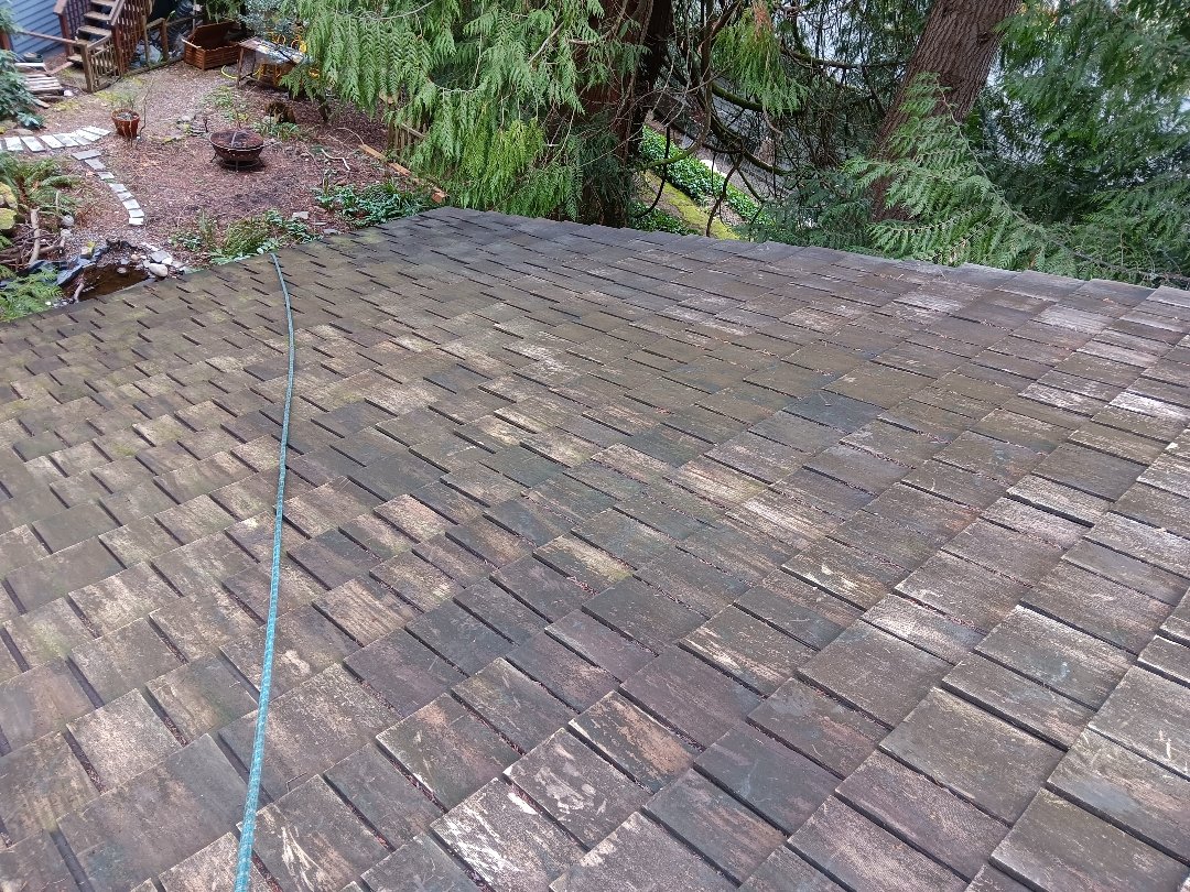 soundcleaning's tweet photo. 🍂Has Fall left you reminiscing about what your roof used to look like? 🍁Have no fear! Sound Cleaning is here to help reclaim your home from the elements with our roof blowing and gutter cleaning services. #RoofCleaning #CleanRoof #professionalcleaning
https://t.co/Sl3at3RztD https://t.co/Kz0n3408g4