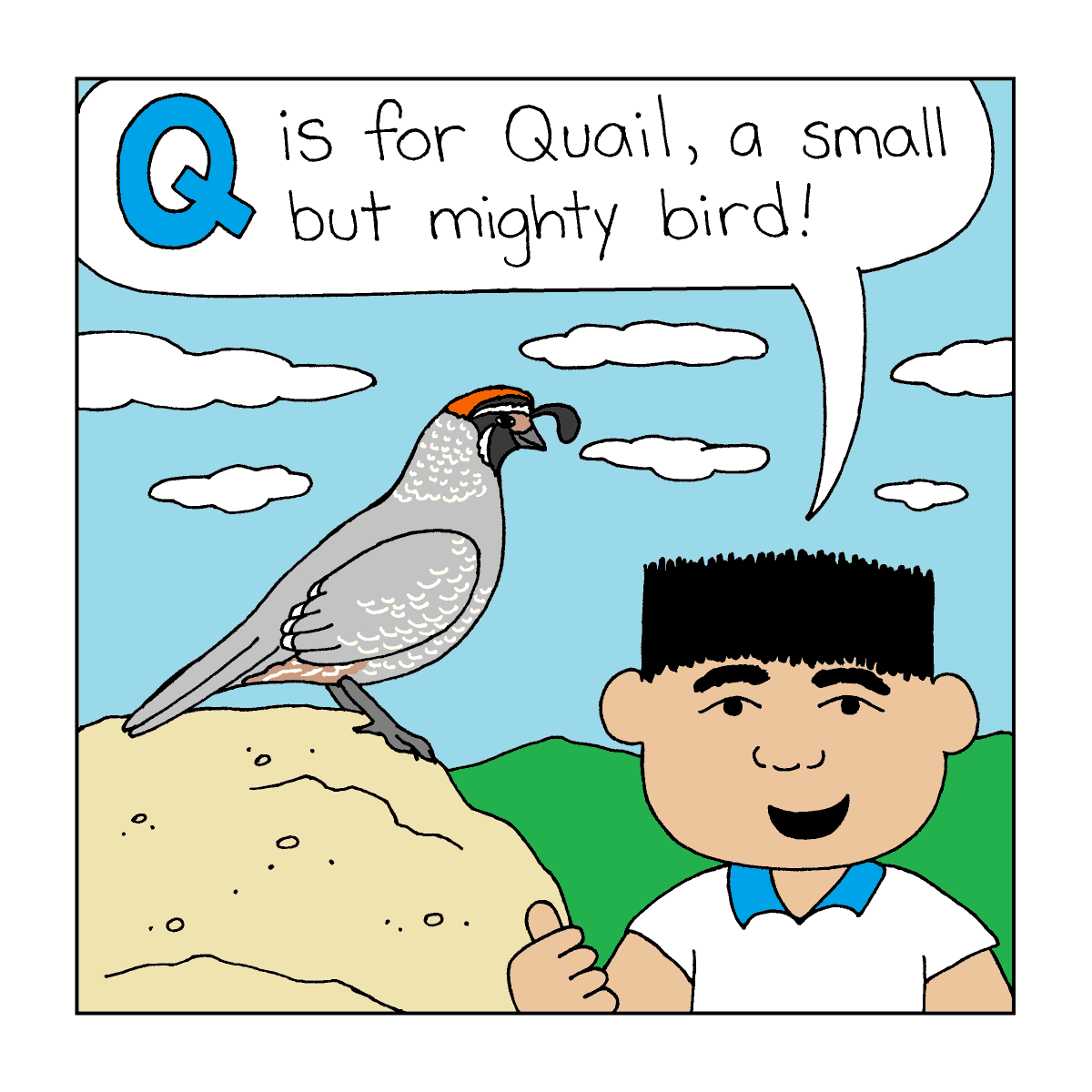Q is for #quail in today's #animalalphabet post! #adventuresoflollipop #kids #kidlit #kidlitart #kidscomics #indiecomics
