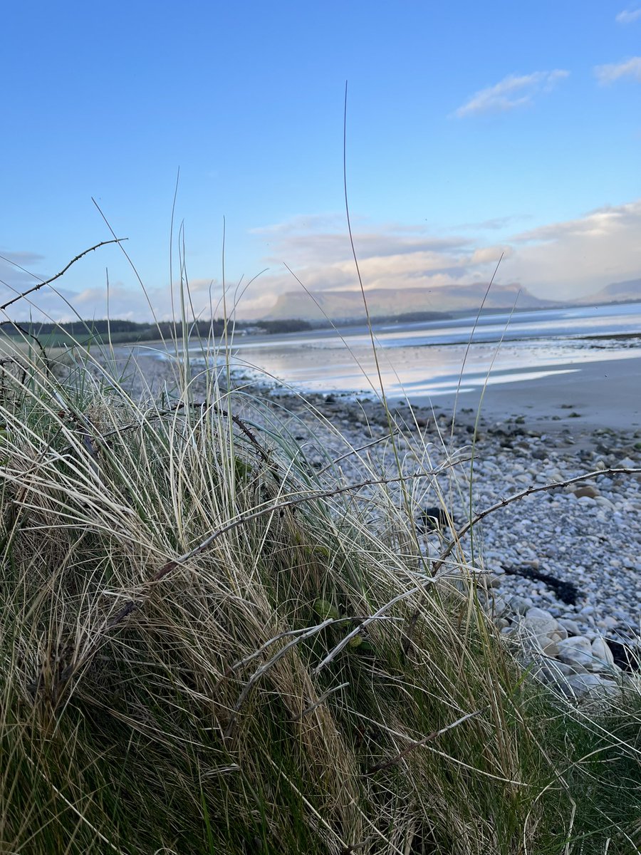 Chilly but at least a bit of blue sky. Summer is on the way. 😉☀️🕶️