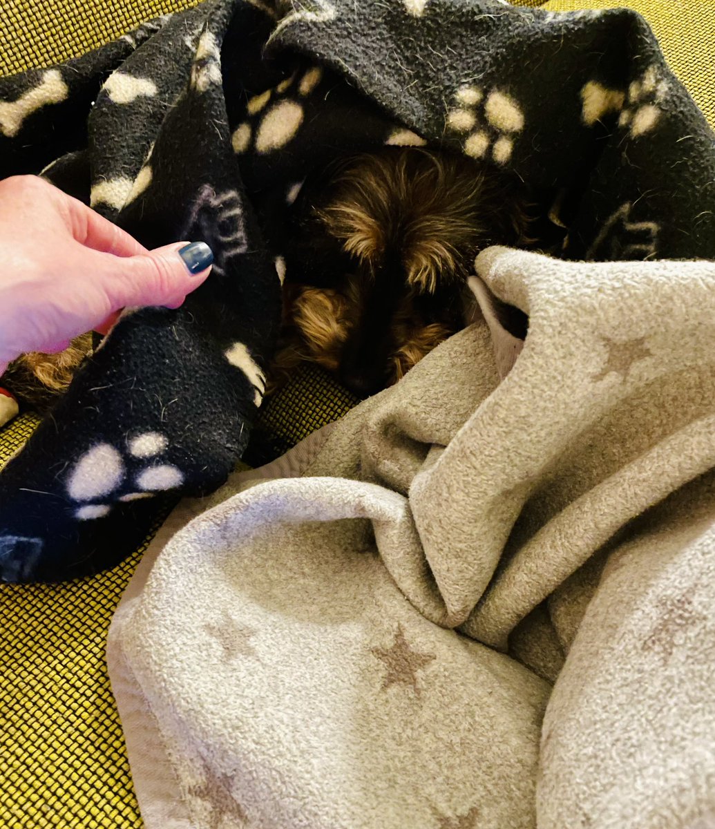 Just another pile of blankets. Nothing to see here.