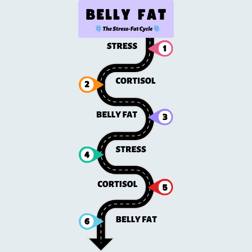 In chronic stress, the cortisol hormone continues to increase, which promotes fat storage, especially around the belly area.
stress➡️cortisol➡️belly fat➡️more stress
Get your cortisol level under control. Starting in 2 weeks. Experience faster weight loss. lnk.bio/s/CortiSync