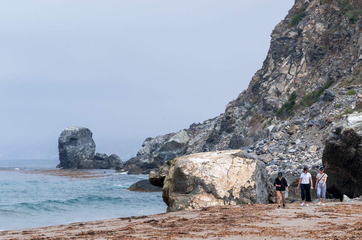 🚨 Applications for the #USCWrigley Julymester on Catalina Island are due by TOMORROW, Wednesday, April 17 at 11:45 p.m. PT. Open to undergrads of all majors looking to learn hands-on, lab- and field-based approaches to sustainability issues: dornsife-wrigley.usc.edu/education/resi…