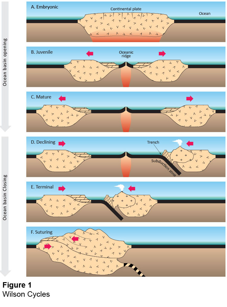 Ahhhh yes, the Wilson Cycle... my favorite geological analogy for the graduate student experience.