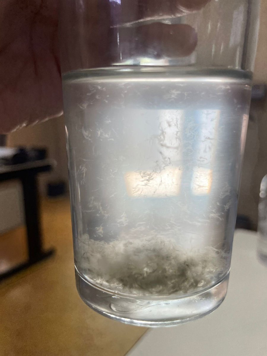 SilgueroGabi's tweet photo. OJO con este producto, está completamente contaminado con colonias de moho en diferentes lotes, envase que abrís envase con presencia de moho incluso laboratorialmente comprobado, no evangelicemos un producto que no podamos garantizar también su inocuidad https://t.co/ivedmCNByd