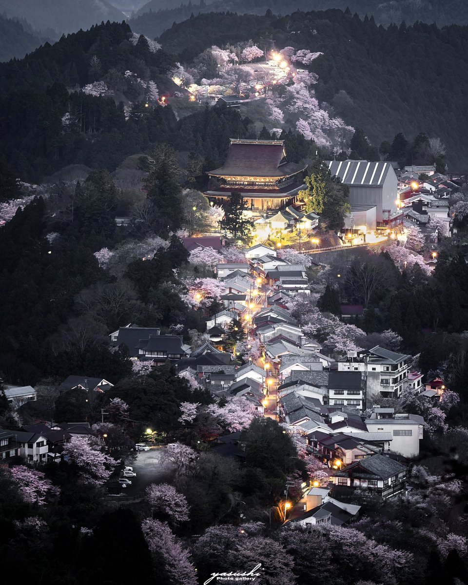 夜明け前の吉野金峯山寺を📸

街明かりが残りながらも桜の存在も捉える事が出来る日の出直前の空が明るくなり出した時間帯での撮影です😊

やっぱりここのロケーションは凄すぎますね😍

後、フォトグラファーさんの多さに驚きでした😄

#東京カメラ部 
#tokyocameraclub
#写真好きな人と繋がりたい