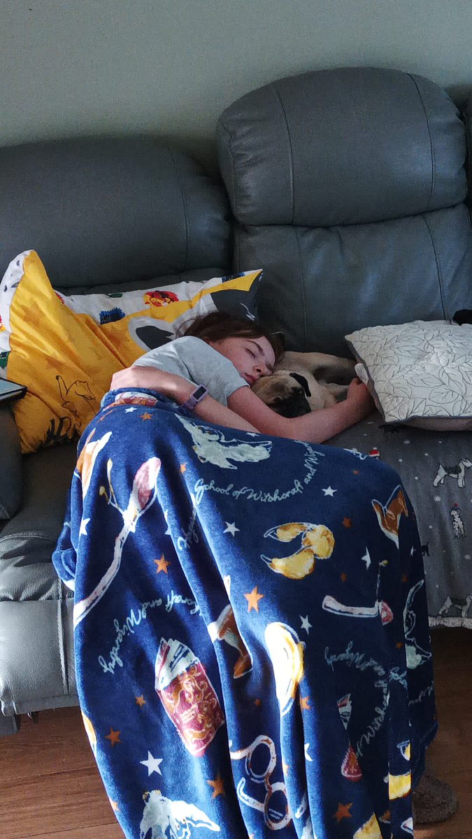 CalebsCauseNI's tweet image. Goodnight #dog #pug #pugsoftwitter #dogsoftwitter #doglove #doglife #cute