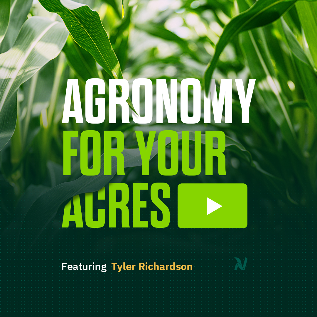 Join Tyler Richardson, Crop Consultant at Nutrien Ag Solutions on This Week in Agribusiness as he talks to Mike Pearson about planting progress, ideal soil temperatures for corn and soybean planting as well as when to time your planting. bit.ly/3Q7WC63