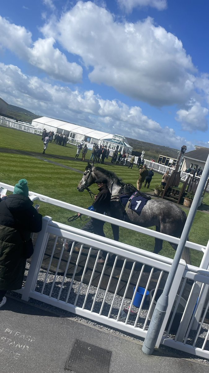 Speakeasy Club 🐧 tweet media