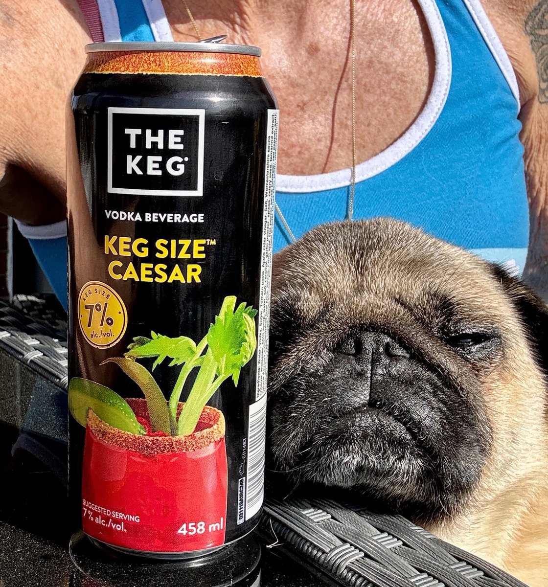 Bliss. #pug #happyhour #cheers