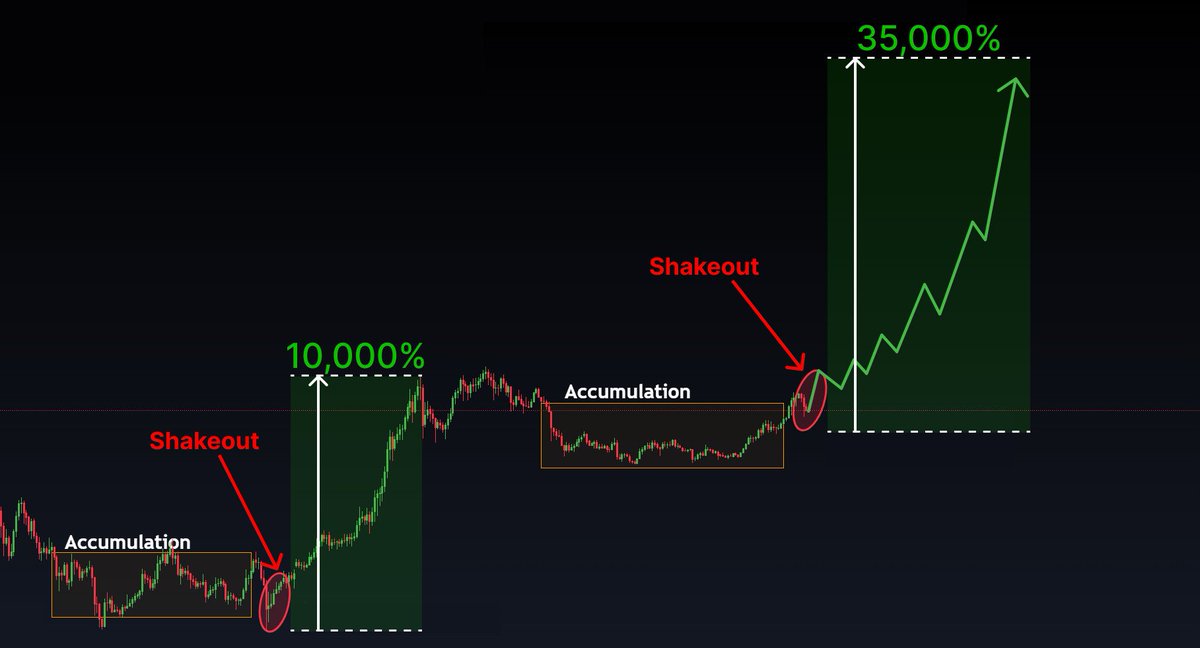 Knowledge of crypto cycles is enough to make your first million! Remember this: BTC Pumps → Shakeout → BTC Halving → Altseason Buy RIGHT alts now during the shakeout to sell at 1000x at the altseason peak. Here are 9 coins with 1000x potential 👇🧵