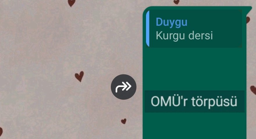 Hocam siz bizi yaktınız ya