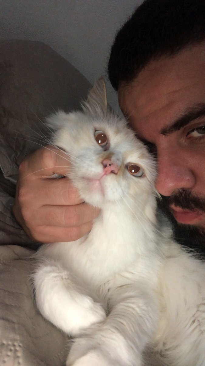 Fcoicaro's tweet photo. Algum amigo pra salvar 🍁 🫠🫠🫠 meu gato que tá pedindo https://t.co/laoWE6AUhQ