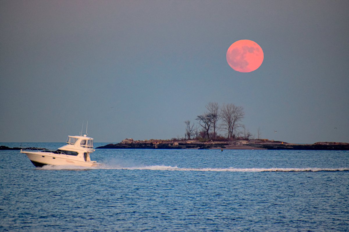 Thrilled to announce that my photo, 'Moonlit Waterscape,' won the grand prize at the Friends of @PelhamBayPark Spring Fundraiser! The City Island Nautical Museum will exhibit the winning photos and runners-up from the Pelham Bay Park: Past, Present & Future photo contest.
