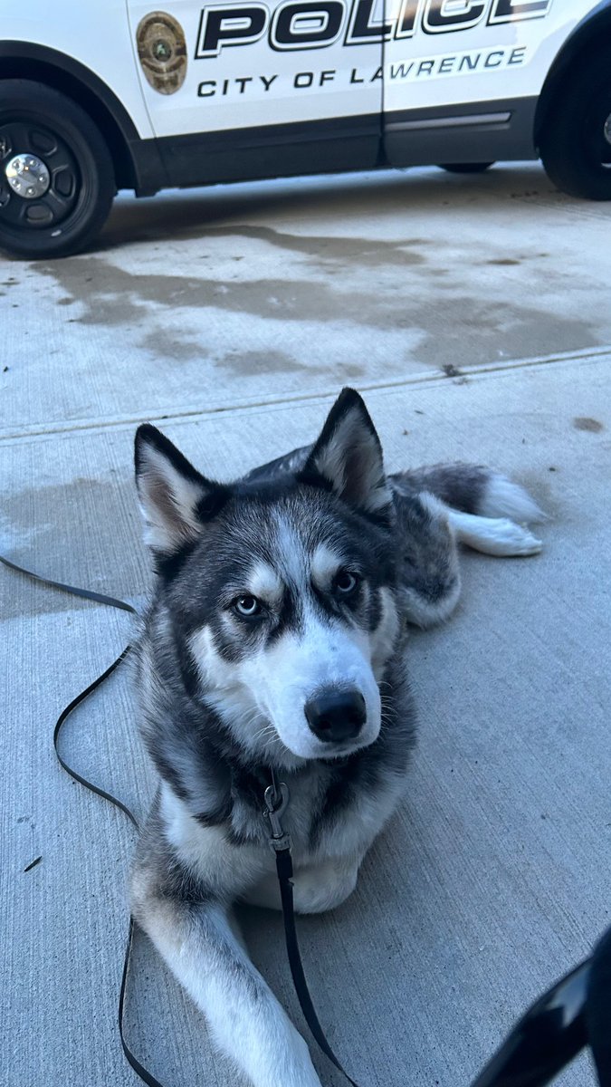 Chey-Ane tweet media