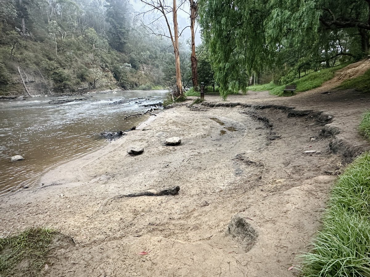 GetTerryNow's tweet image. Successfully rehabbed area of #yarrariver by Taroona Reserve, Warrandyte vs degrading, high foot traffic area opposite @WarrandyteGrand hopefully a plan in play? Generally speaking works through here in the last five years have been first rate. @TheYarraRiver @ParksVictoria