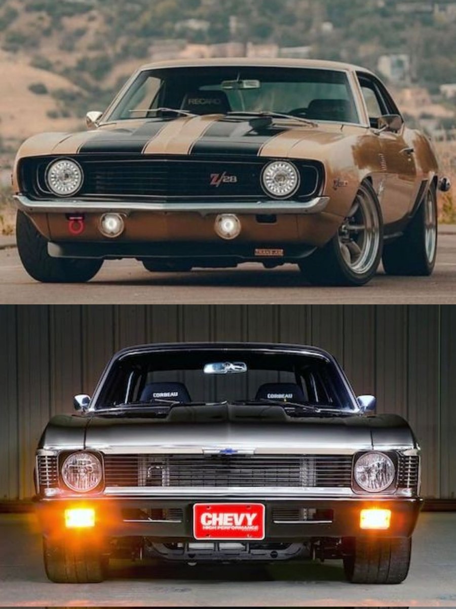 Top or Bottom? 🤔