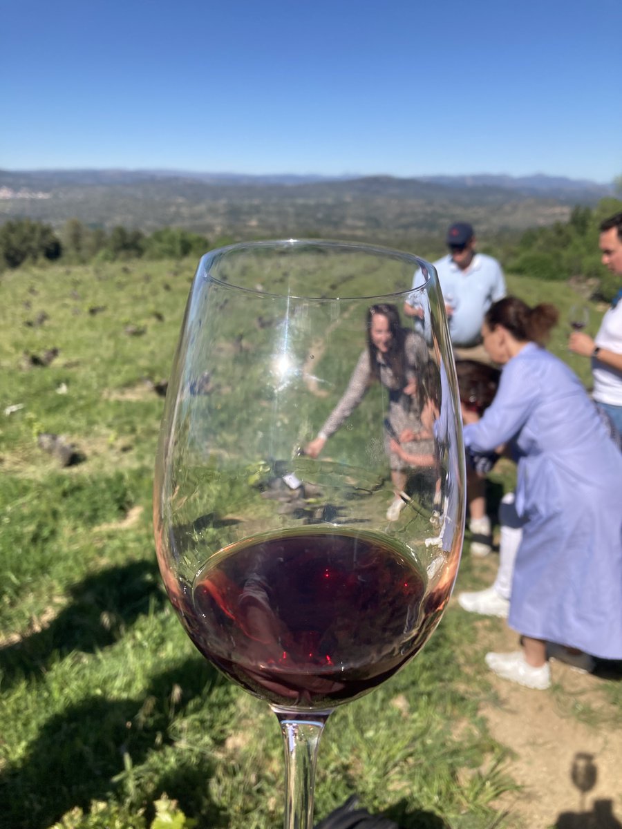Today Frank Smulders MW visited #Gredos with a group of winelovers.