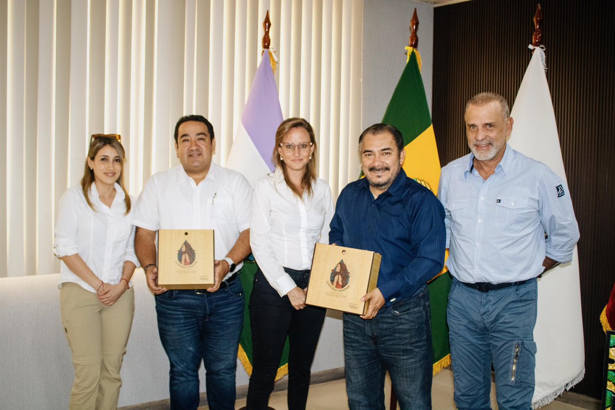 ODIN Mining | Investigación Geológica🇪🇨 tweet media