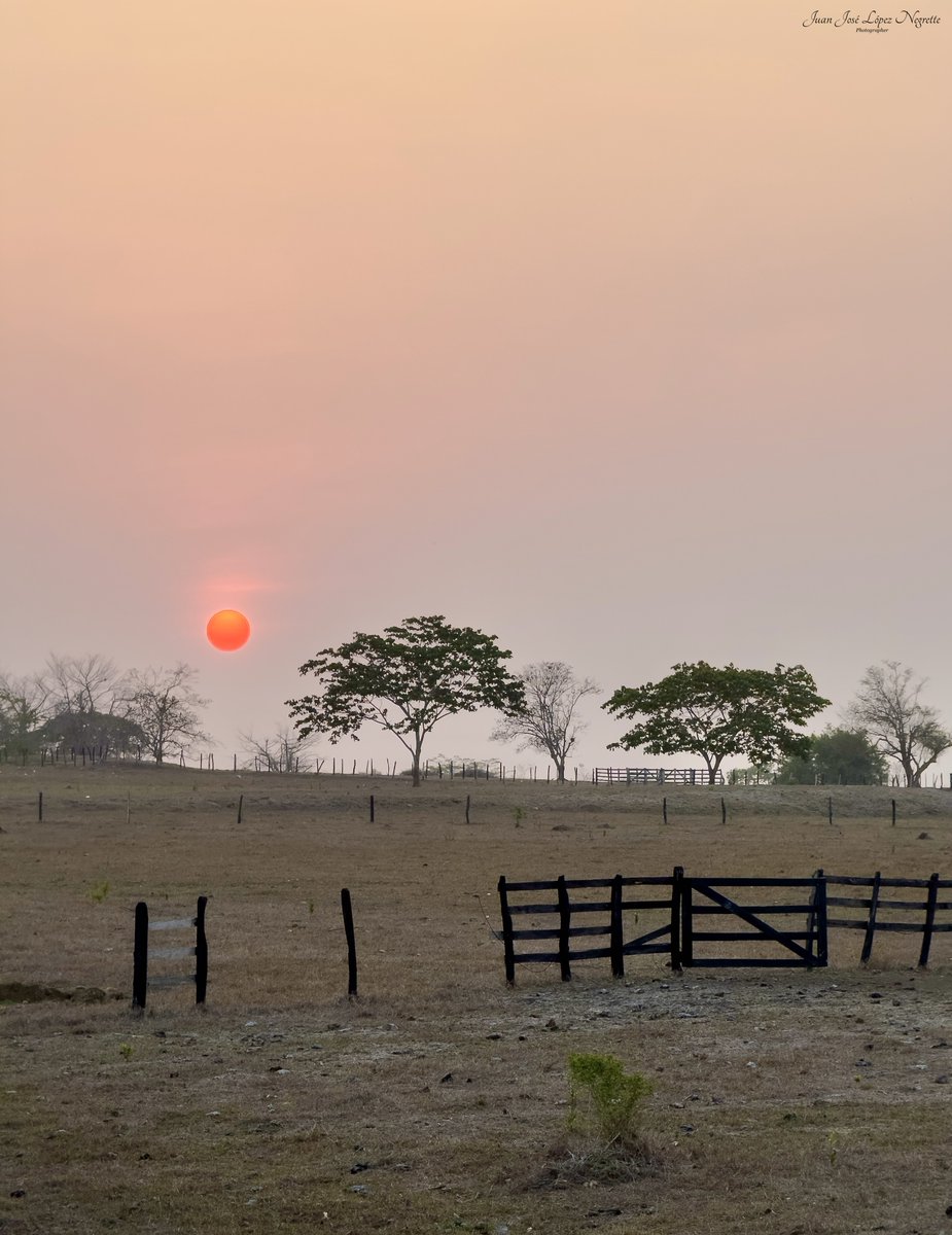 Sol naciente en el exbosque seco tropical del #Caribe.
#photo #photography #photographer