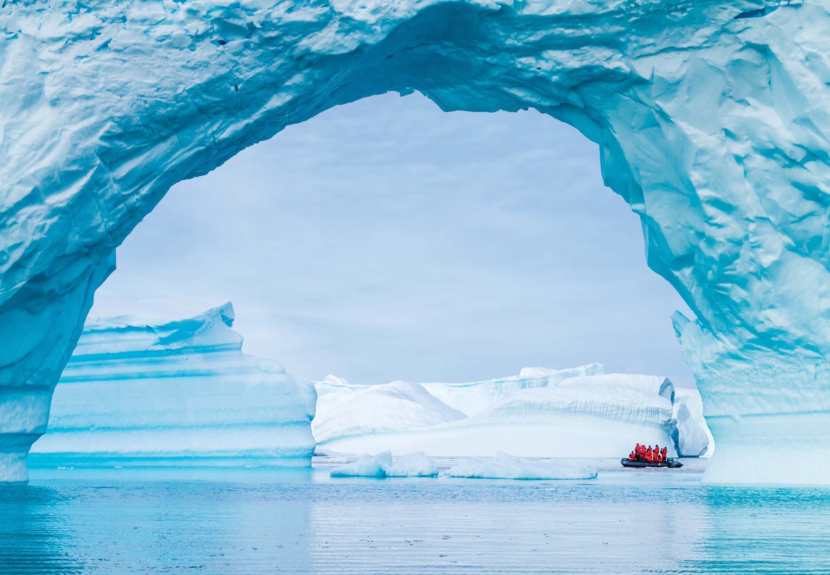 Tyler Dixon tweet media