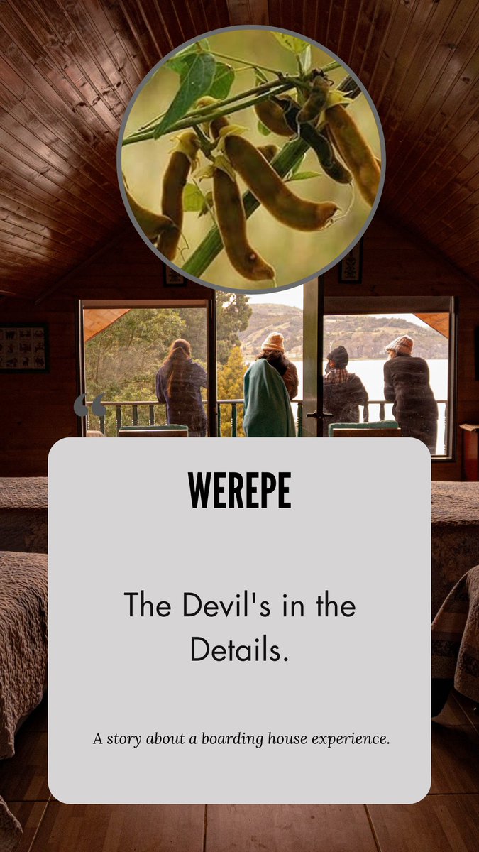 SolaAdebayo_'s tweet photo. Not close to my best but I am writing again.πππ
Have u ever seen the effect of werepe (devils beans)?
@Gidi_Traffic #werepe #devilsbeans https://t.co/nt39pTQKrc