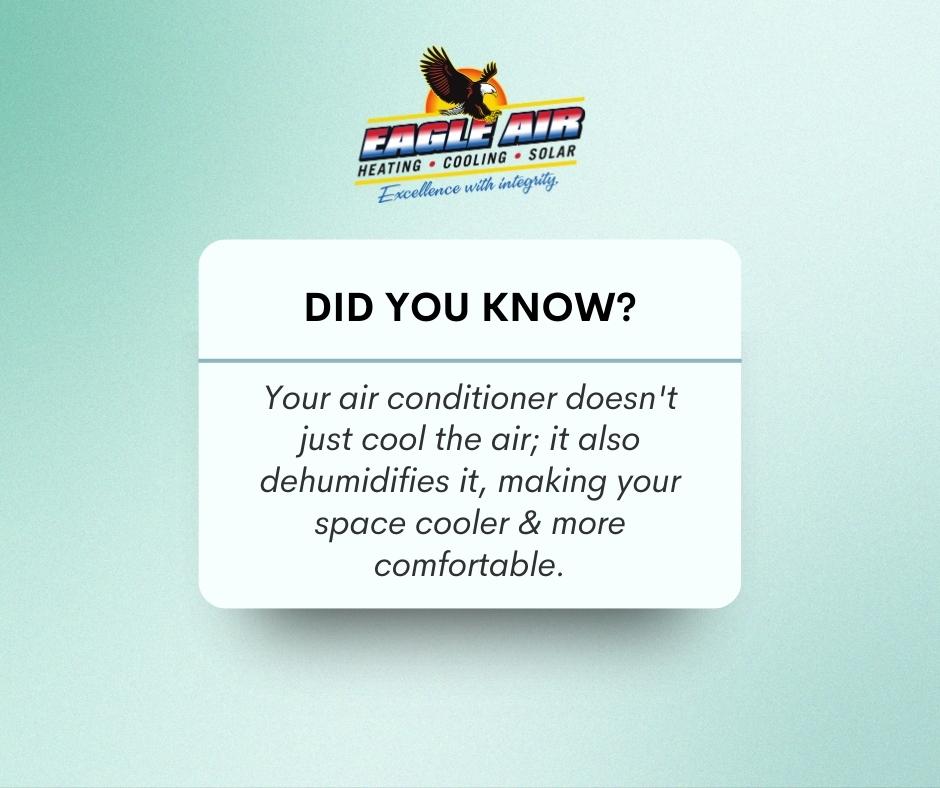 Did you know this about your home’s A/C? 🤔

#eagleair #trivalleyac #centralvalleyac #hvacrepair #hvacinstallation #excellencewithintegrity #funfact #airconditioning