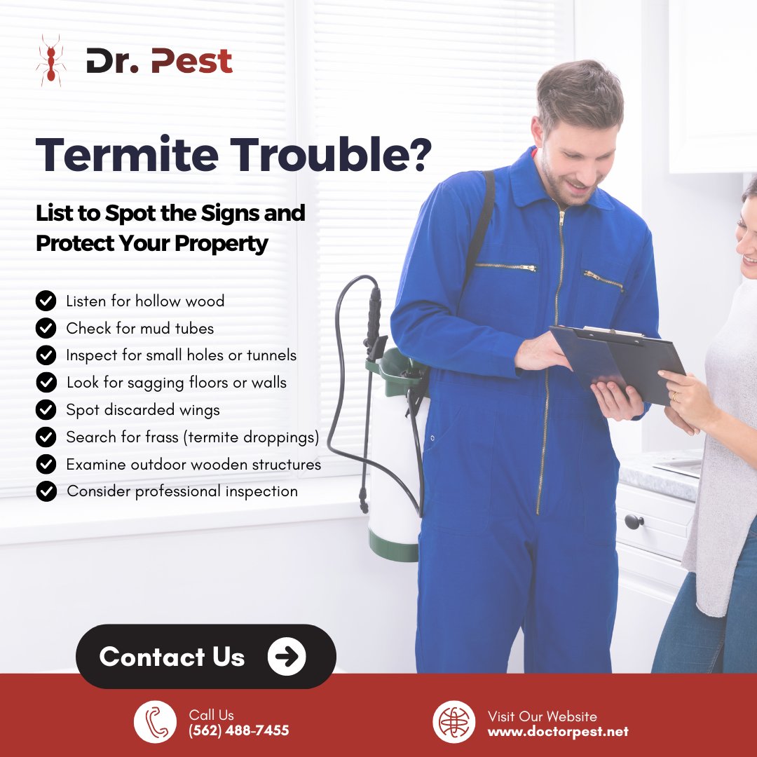 itsdoctorpest's tweet image. Ever wonder how to identify termite damage? Look out for hollow-sounding wood and mud tubes around your property. Stay tuned for more tips on identifying and dealing with termite infestations.
#RodentControlService #TermiteControlService #PestControlService #DrPest