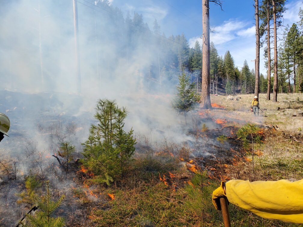 DNR staff successfully completed prescribed burn objectives on the 12 acres. Photo by Andrew Townsend. #rxfire #wawx