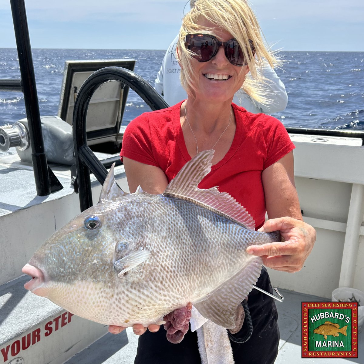 Captain Rich and Skipper found the triggerfish on a recent 12hr Extreme trip. Have you ever caught a triggerfish, and do you know why they are called 'Triggerfish'?
#deepseafishing #offshorefishing #floridafishing #gulfofmexico