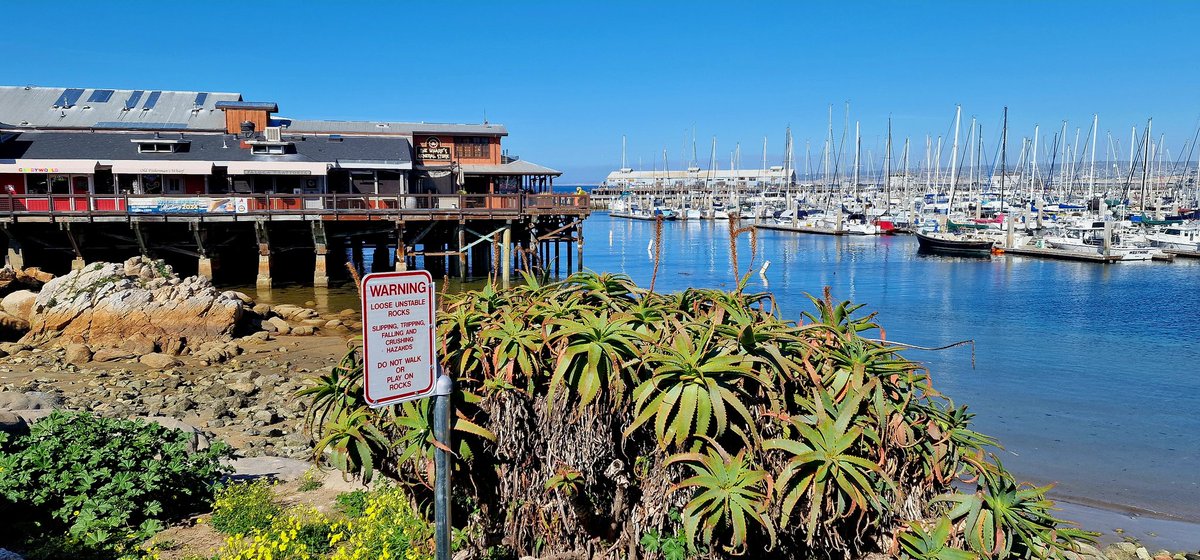 The entertainment & catering on Monterey Pier is very tacky indeed, but the marina & bay retain a special charm, nevertheless