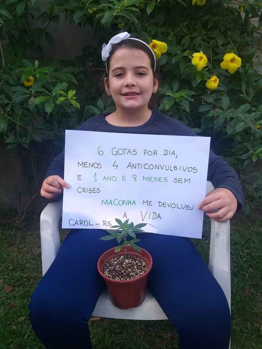 ihlombrei's tweet image. Legalize já!