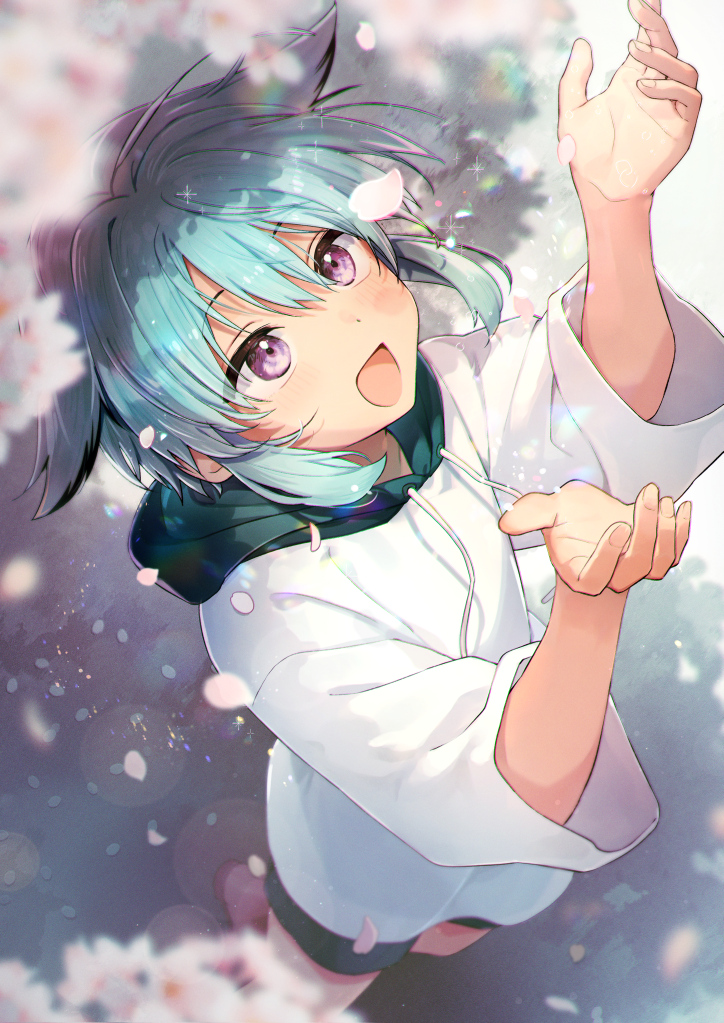 はれ (@harecaba) / Posts / X