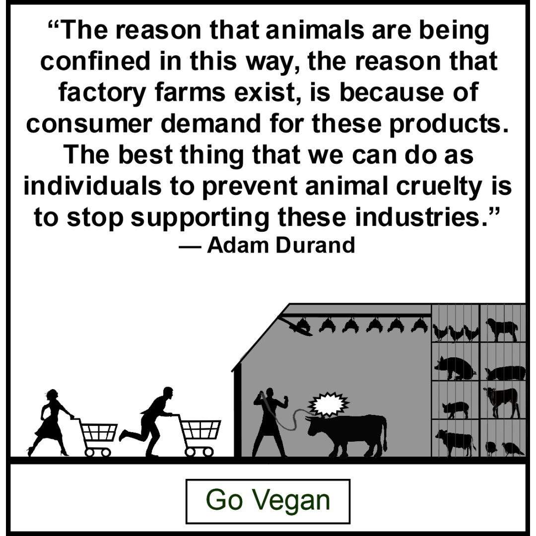 #youarepowerful #quotes #factoryfarms #consumers