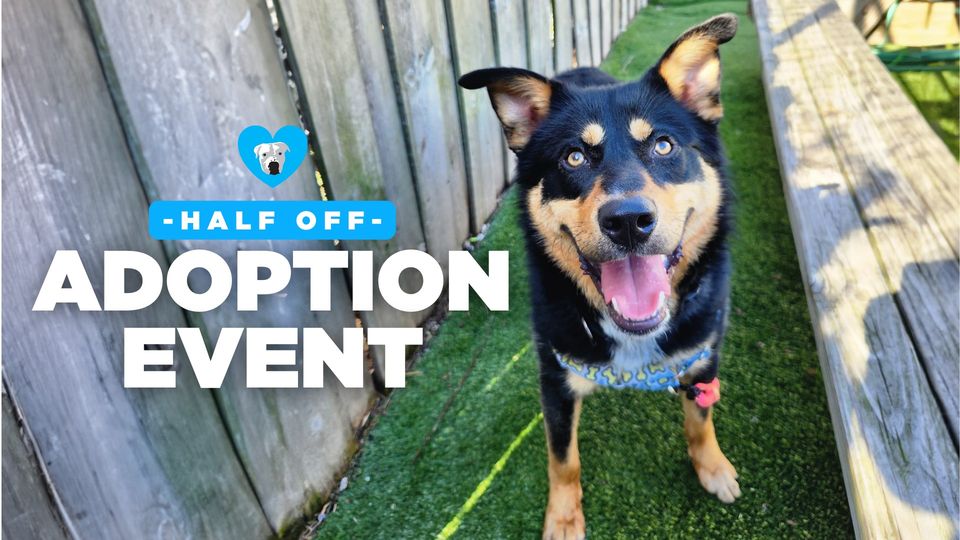 Hey #Chicago! .@onetailatatime Half Off #fees #dogs #Adoption #event 

Saturday 4/20, 11 AM – 6 PM

#AdoptDontShop #AdoptDontBuy #AdoptAShelterPet #adoptaseniorpet #AdoptAShelterDog #pets 

facebook.com/events/9349461…