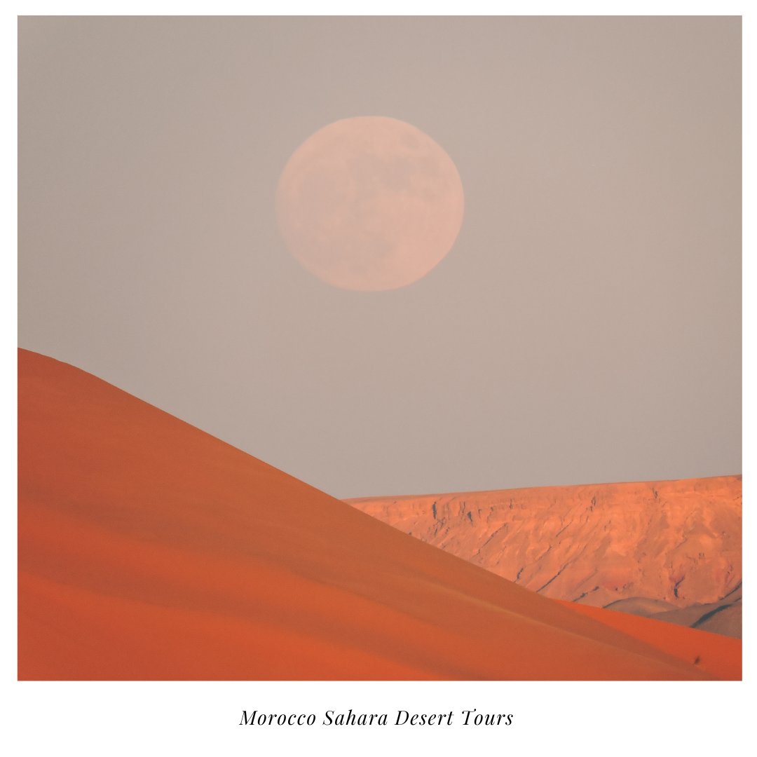 Moon rises over Merzouga's dunes 🌖 🏜
Morocco Sahara Desert Tours your best choice to visit and experience the Sahara Desert of Morocco.
moroccosaharadeserttours.com

#morocco #saharadesert #merzouga #ergchebbi #Dune #sand #DuneMovie #Zendaya