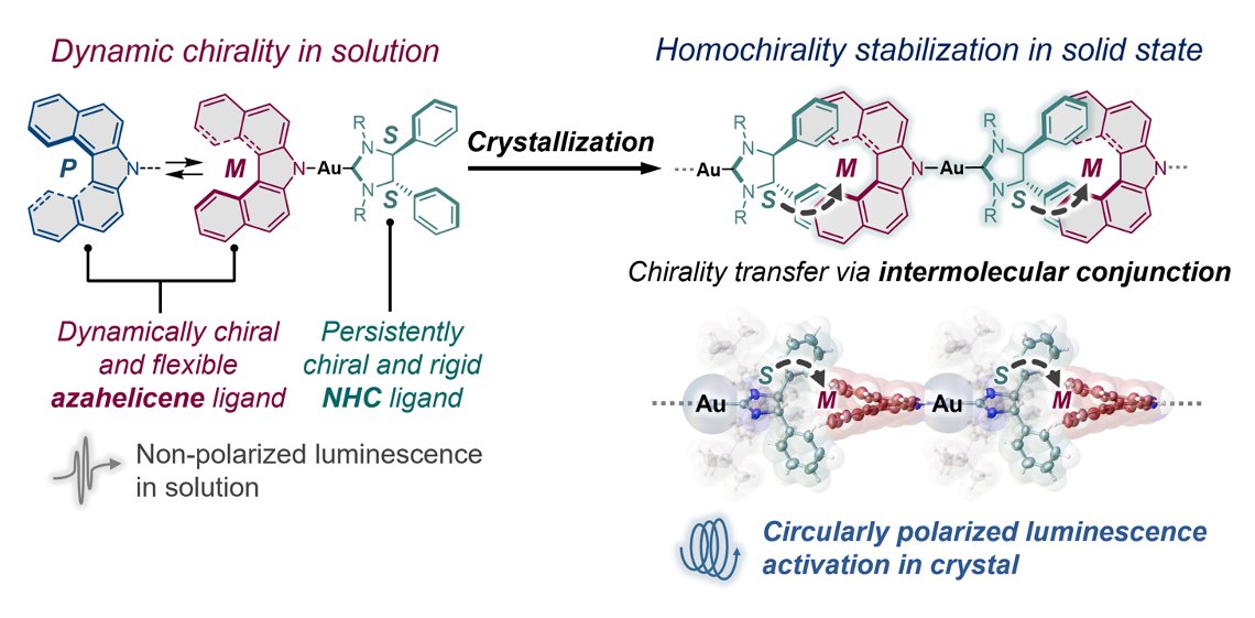 MingooJin's tweet photo. Thrilled to share our recent work in @J_A_C_S, led by Dr. Alex @mikherdov and Ph.D student Pingyu!! We demonstrate the molding of dynamic chiral azahelicene by crystallization-induced chirality transfer using a hinge-shaped chiral NHC ligand, resulting in the activation of CD and CPL!! Huge congratulations to all involved @ICReDDconnect, @haj19932469  
 https://t.co/7txMn414oC