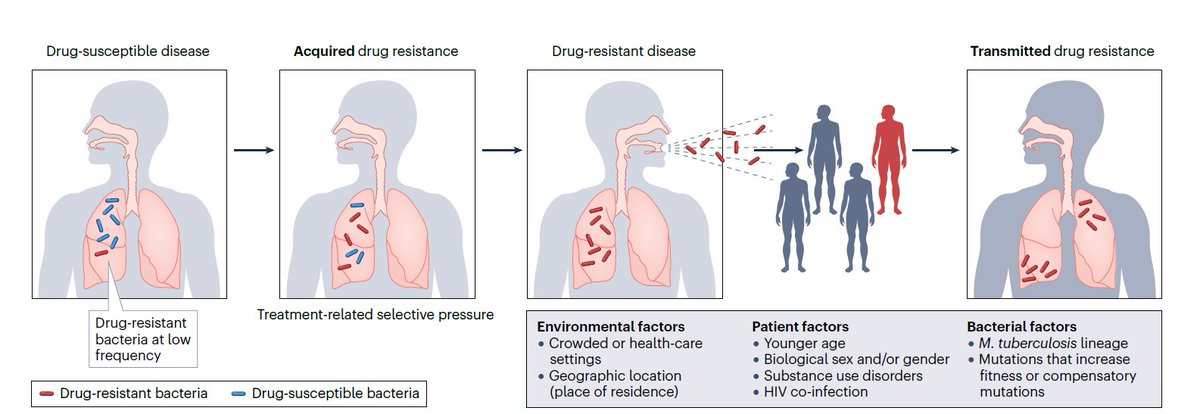 Drug-resistant tuberculosis: a persistent global health concern nature.com/articles/s4157… via @NatureRevMicro